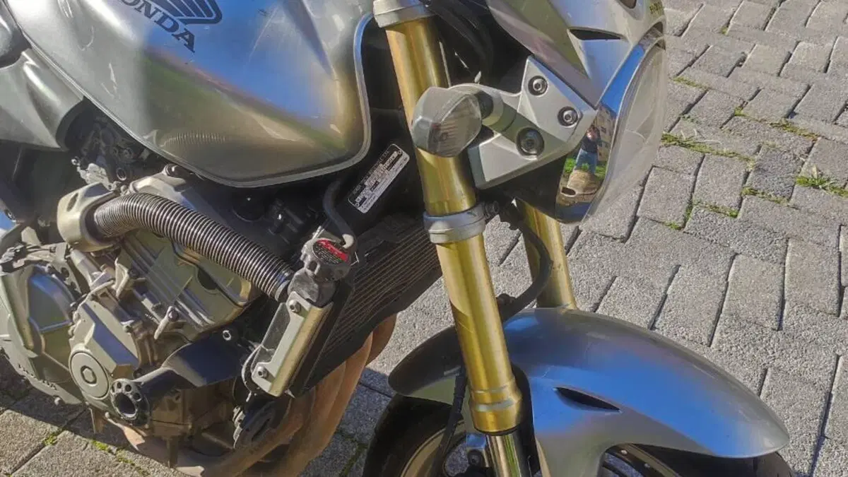 Honda Hornet 600 (2005 - 06)  (3)