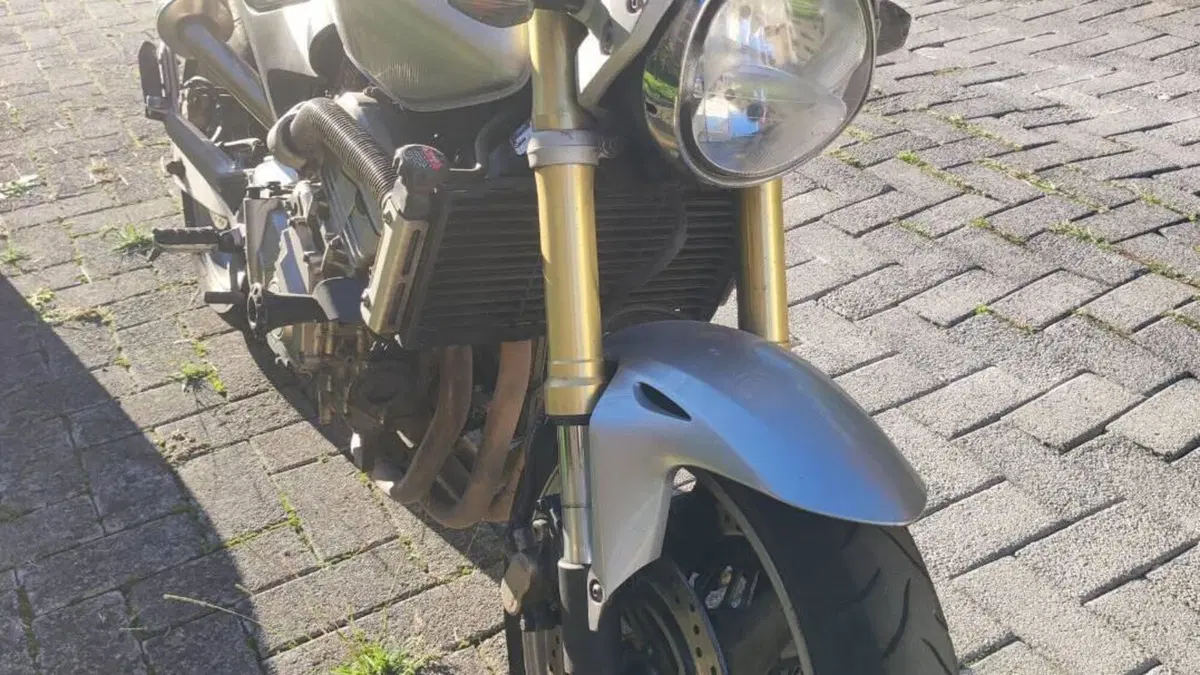 Honda Hornet 600 (2005 - 06)  (6)