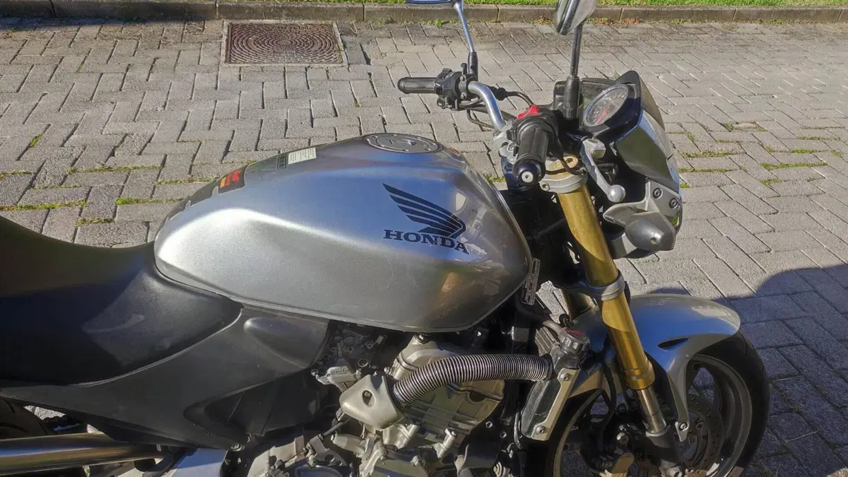 Honda Hornet 600 (2005 - 06)  (10)