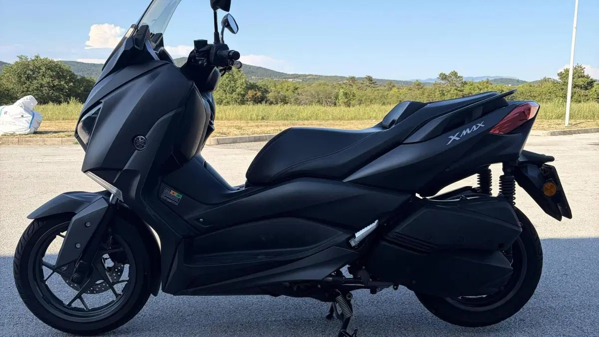 Yamaha X-Max 300 ABS (2017 - 20)  (6)