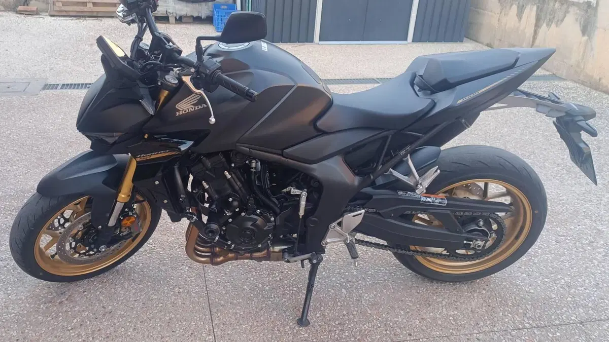 Honda CB 1000 Hornet SP (2025 - 26)  (3)