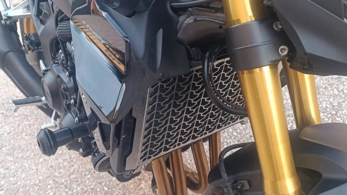 Honda CB 1000 Hornet SP (2025 - 26)  (6)
