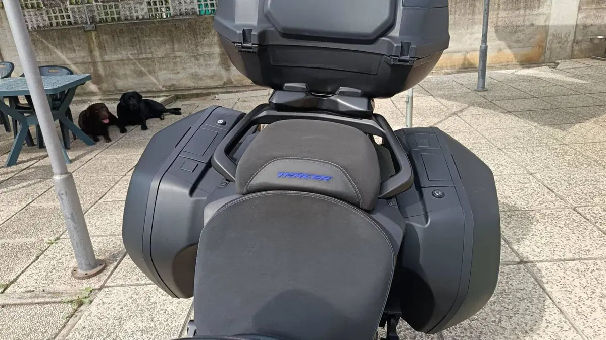 Yamaha Tracer 9 GT+ (2023 - 24)  (4)
