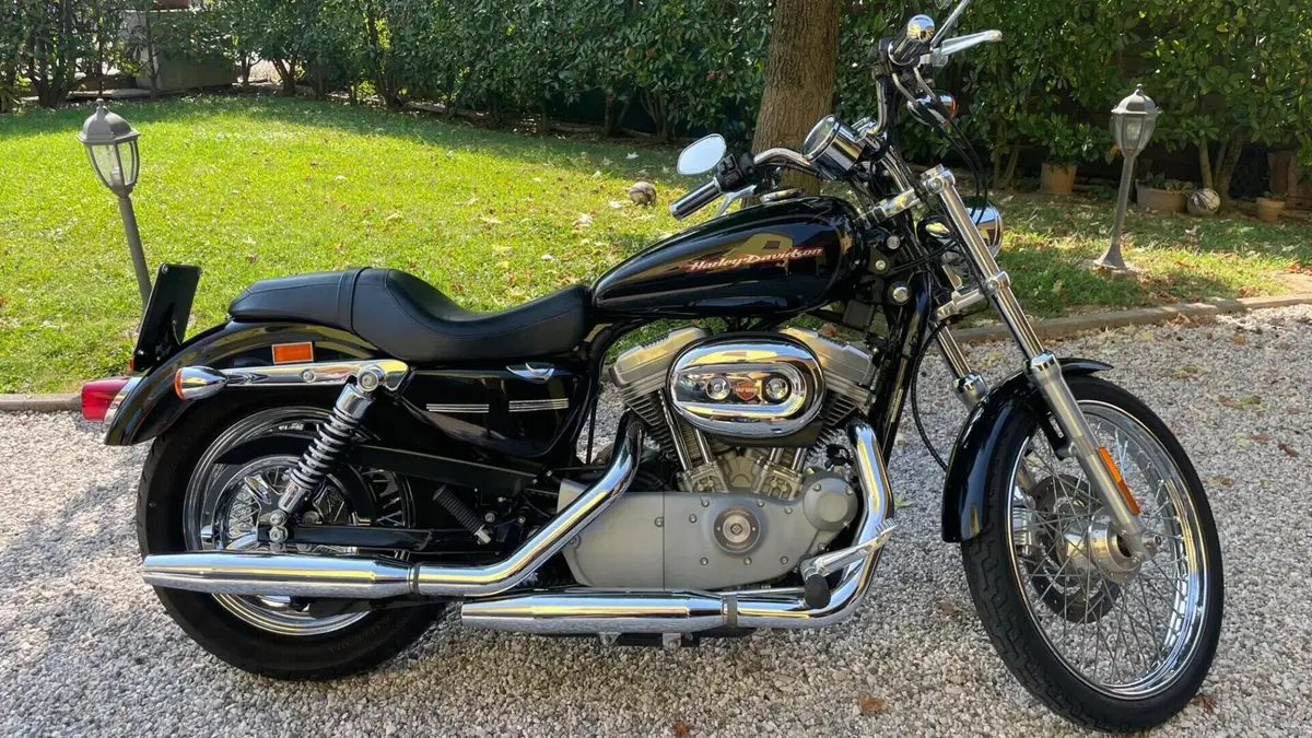 Harley-Davidson 883 Custom (2001 - 05) - XL 53C 