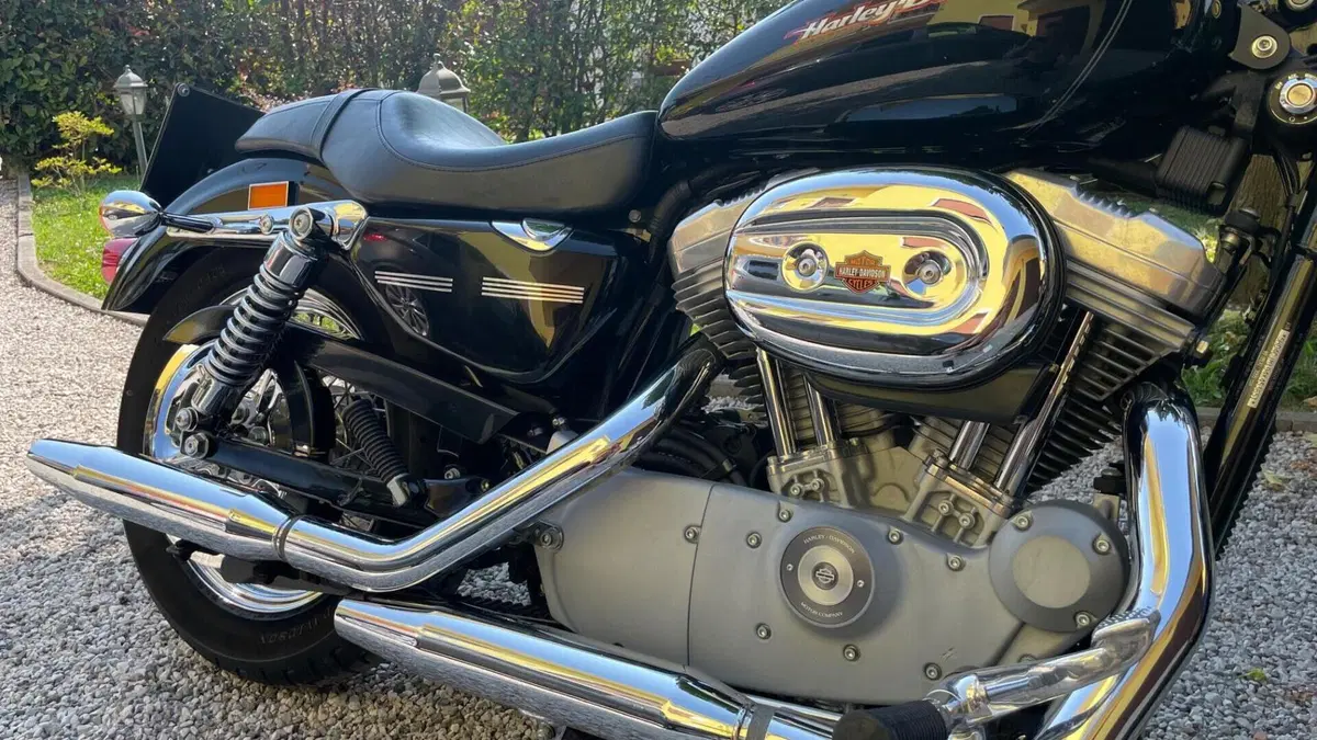 Harley-Davidson 883 Custom (2001 - 05) - XL 53C  (2)