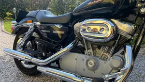Harley-Davidson 883 Custom (2001 - 05) - XL 53C  (2)