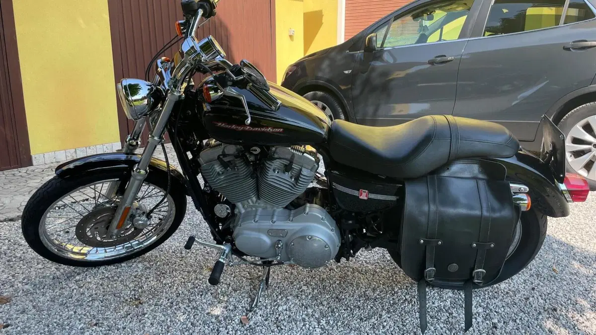 Harley-Davidson 883 Custom (2001 - 05) - XL 53C  (3)