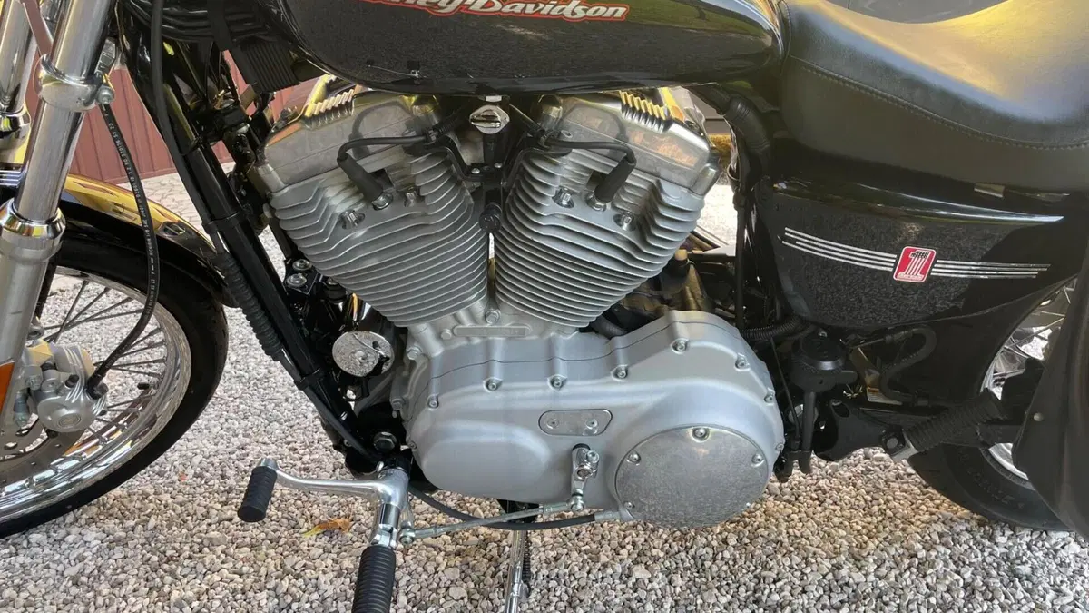 Harley-Davidson 883 Custom (2001 - 05) - XL 53C  (4)