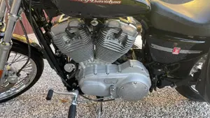 Harley-Davidson 883 Custom (2001 - 05) - XL 53C  (4)