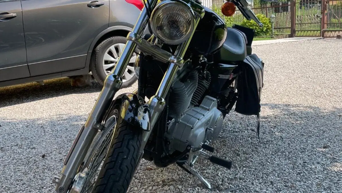 Harley-Davidson 883 Custom (2001 - 05) - XL 53C  (5)