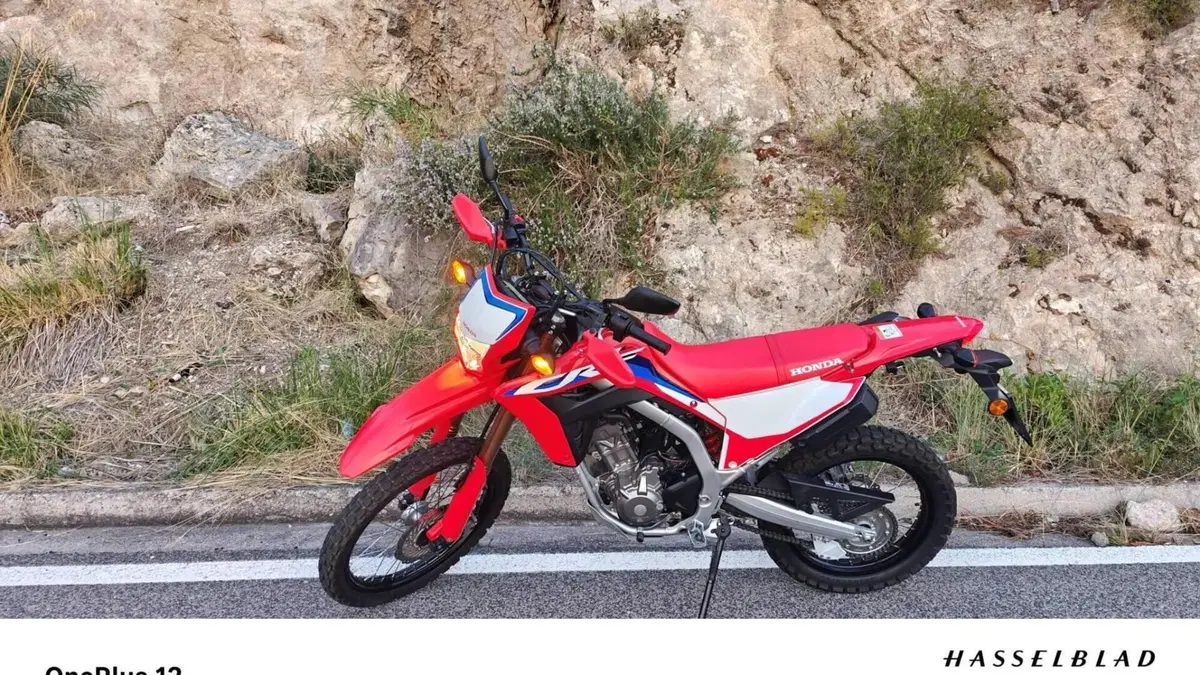 Honda CRF 300L (2021 - 24) 