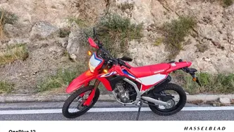Honda CRF 300L (2021 - 24) usata