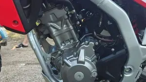 Honda CRF 300L (2021 - 24)  (3)