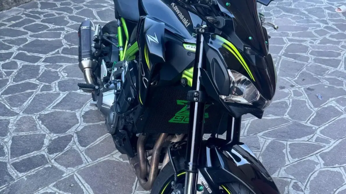 Kawasaki Z 900 (2019)  (2)