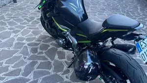 Kawasaki Z 900 (2019)  (3)