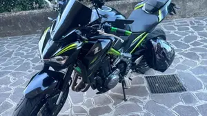 Kawasaki Z 900 (2019)  (4)