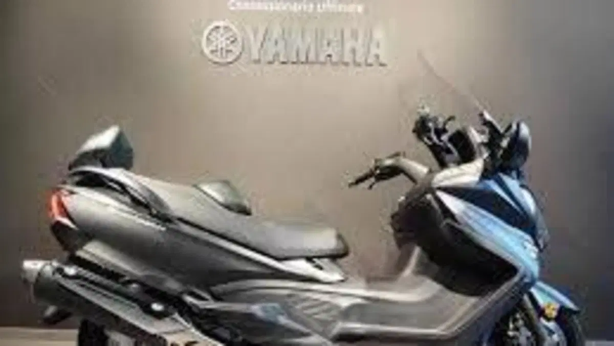 Suzuki Burgman AN 650 Executive ABS (2013 - 17)  (7)