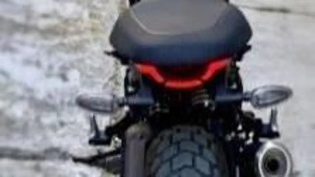Ducati Scrambler 800 Icon Dark (2025 - 26)  (6)