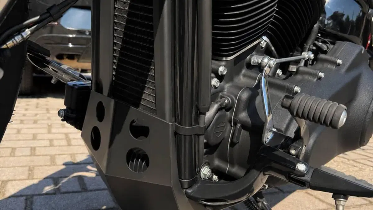 Harley-Davidson 114 Fat Bob (2018 - 20) - FXFBS  (4)