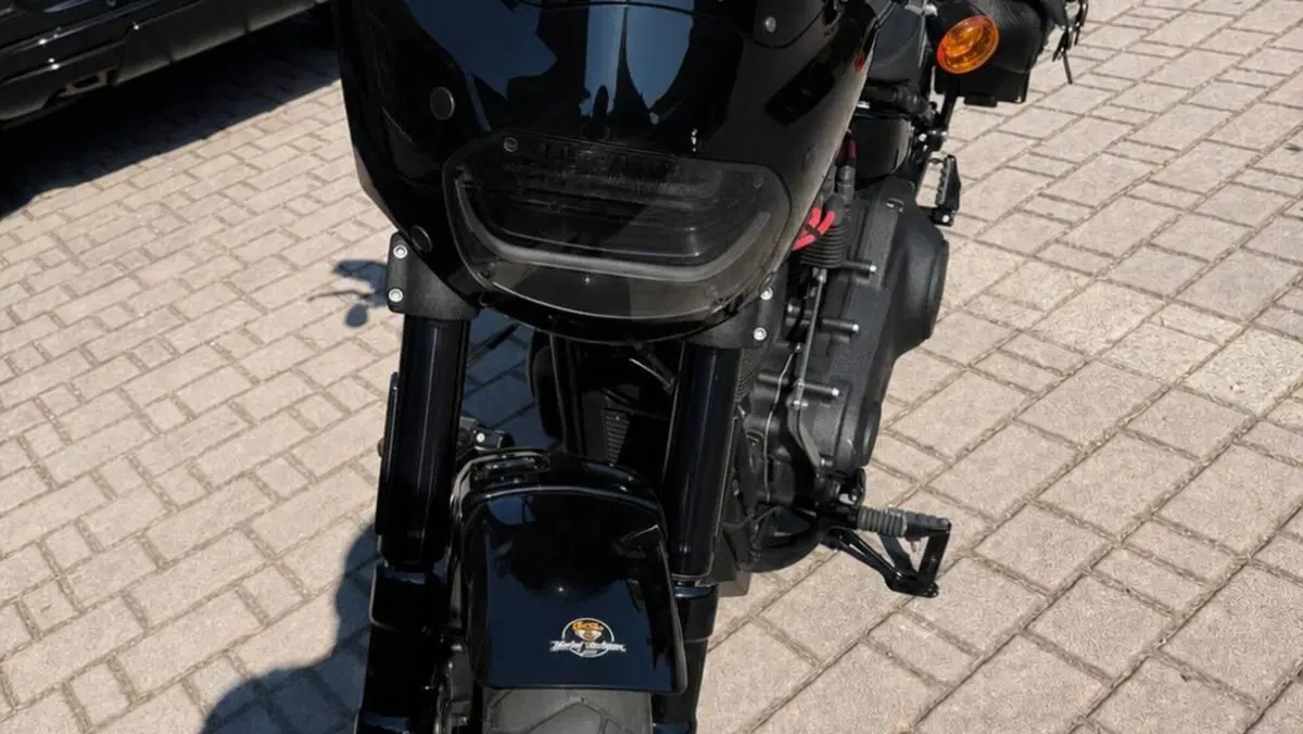 Harley-Davidson 114 Fat Bob (2018 - 20) - FXFBS  (3)