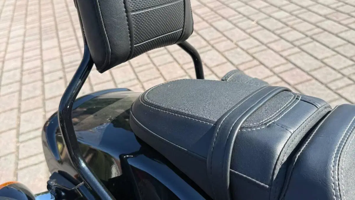 Harley-Davidson 114 Fat Bob (2018 - 20) - FXFBS  (9)
