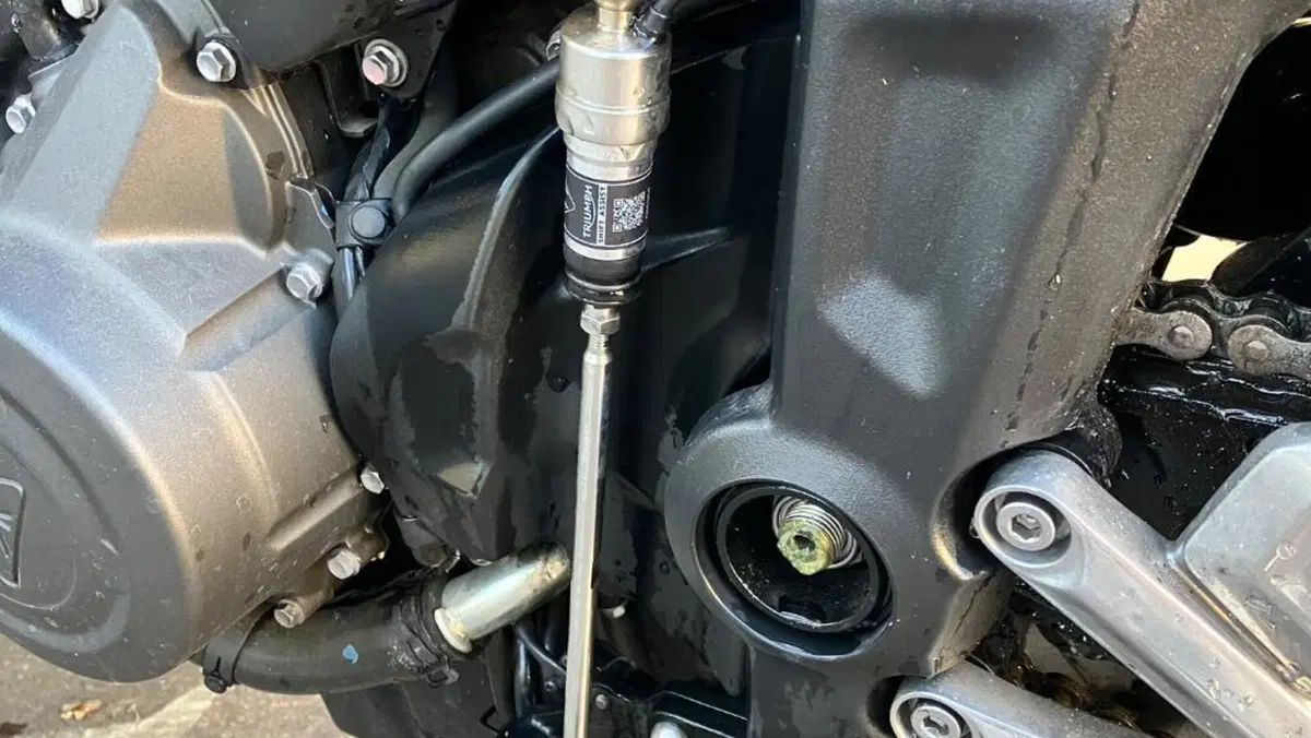 Triumph Trident 660 (2021 - 24)  (6)