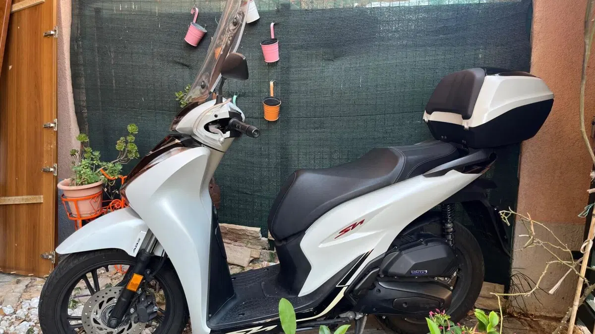 Honda SH 125i Sport (2022 - 23)  (6)