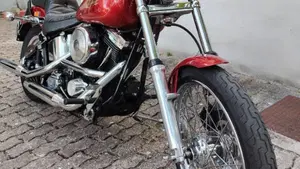 Harley-Davidson 1340 Custom (1989 - 98)  (2)