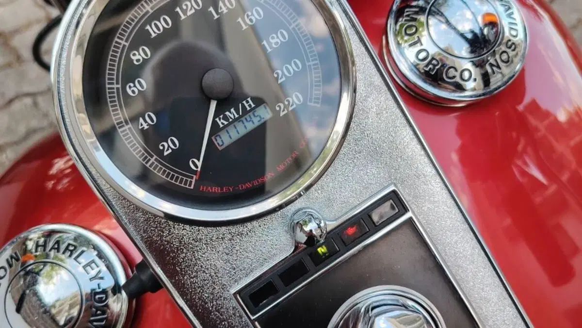 Harley-Davidson 1340 Custom (1989 - 98)  (5)