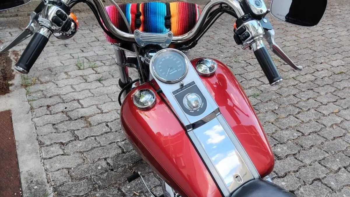 Harley-Davidson 1340 Custom (1989 - 98)  (6)