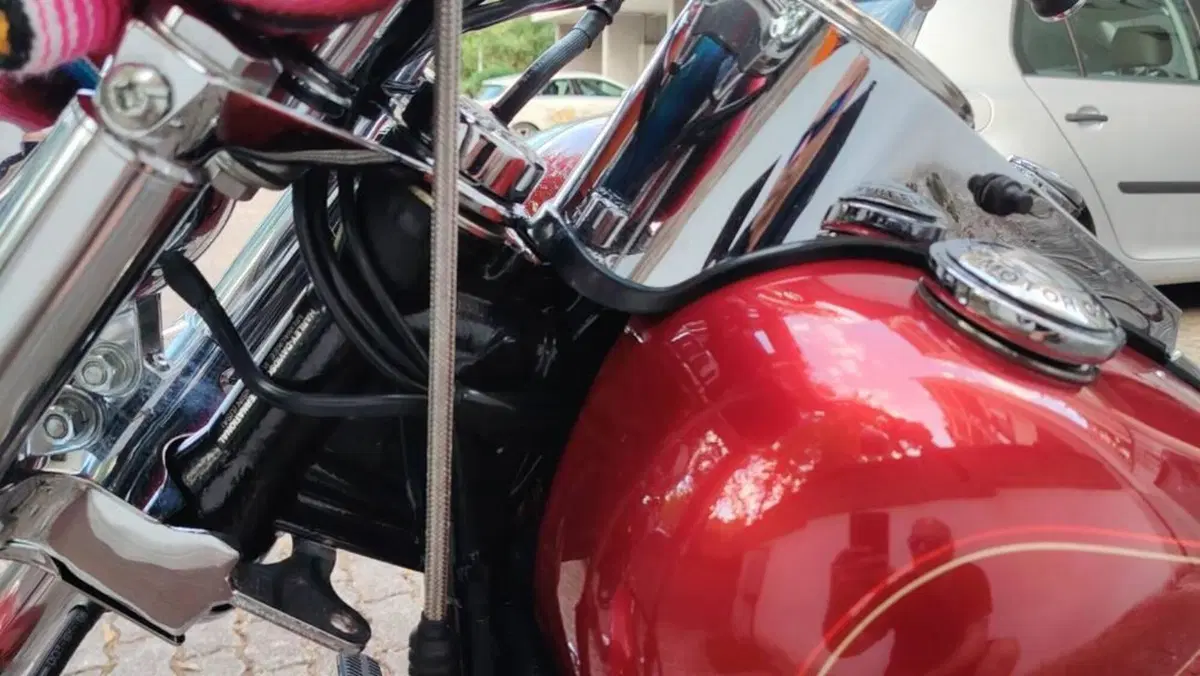 Harley-Davidson 1340 Custom (1989 - 98)  (12)