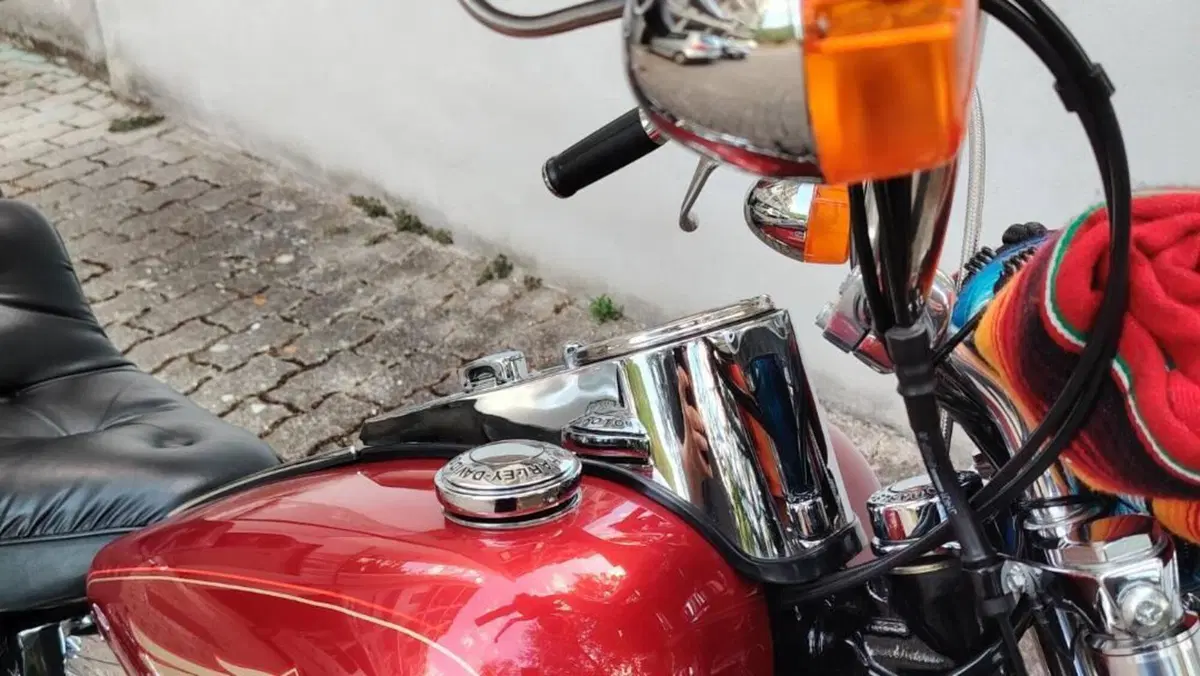 Harley-Davidson 1340 Custom (1989 - 98)  (15)