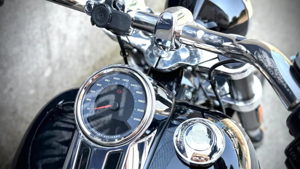 Harley-Davidson 107 Sport Glide (2018 - 20)  (5)