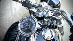 Harley-Davidson 107 Sport Glide (2018 - 20)  (5)