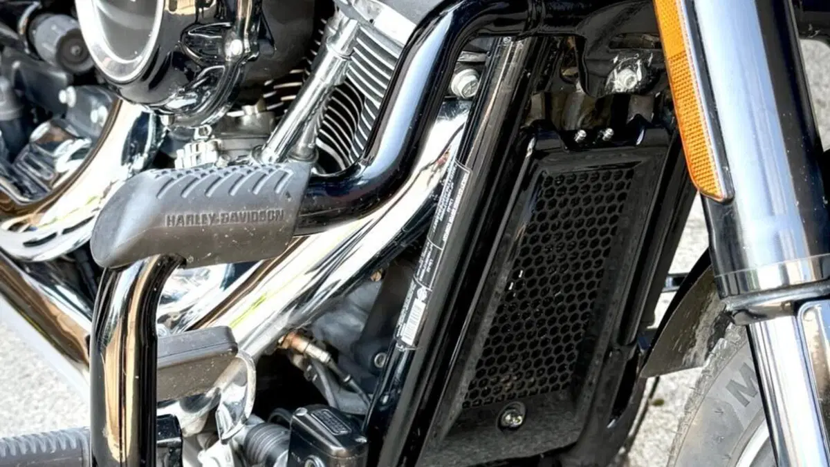 Harley-Davidson 107 Sport Glide (2018 - 20)  (6)