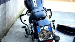 Harley-Davidson 107 Sport Glide (2018 - 20)  (7)