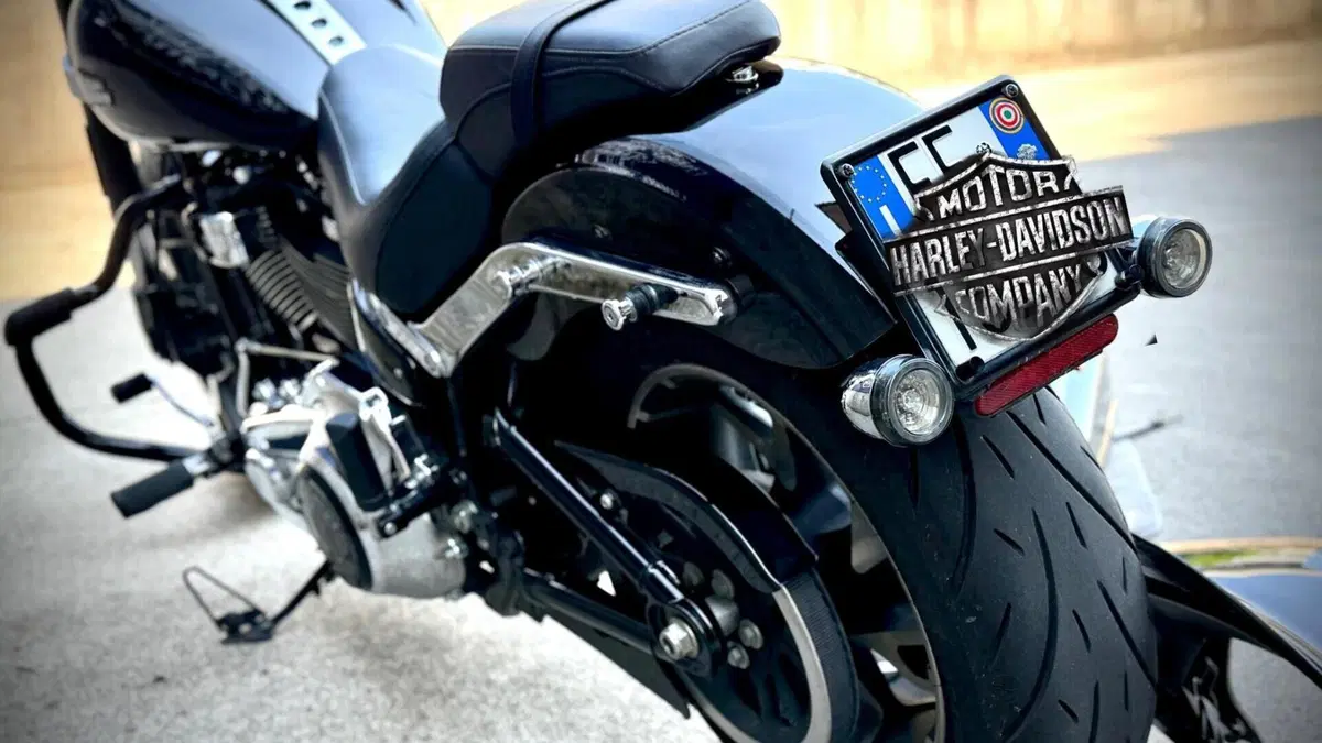 Harley-Davidson 107 Sport Glide (2018 - 20)  (8)