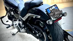 Harley-Davidson 107 Sport Glide (2018 - 20)  (8)