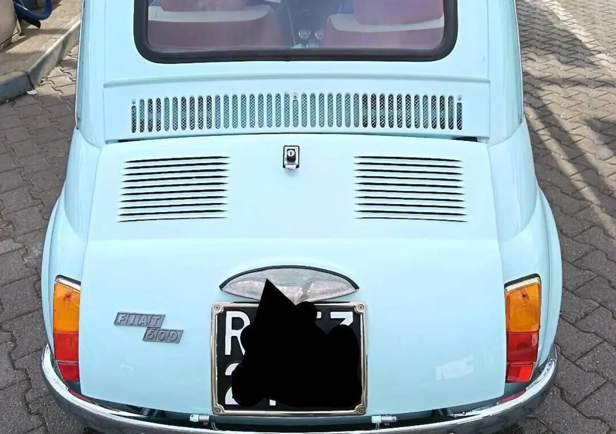 Fiat 500 francis lombardi  (4)