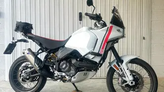 Ducati DesertX (2022 - 25) usata