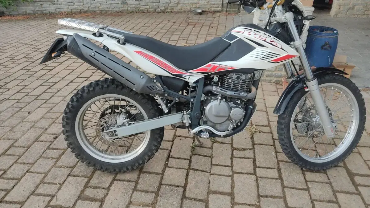 Betamotor Alp 4.0 (2008 - 17)  (2)