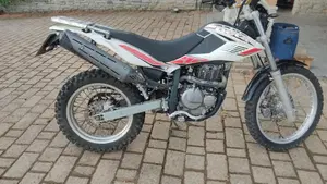 Betamotor Alp 4.0 (2008 - 17)  (2)