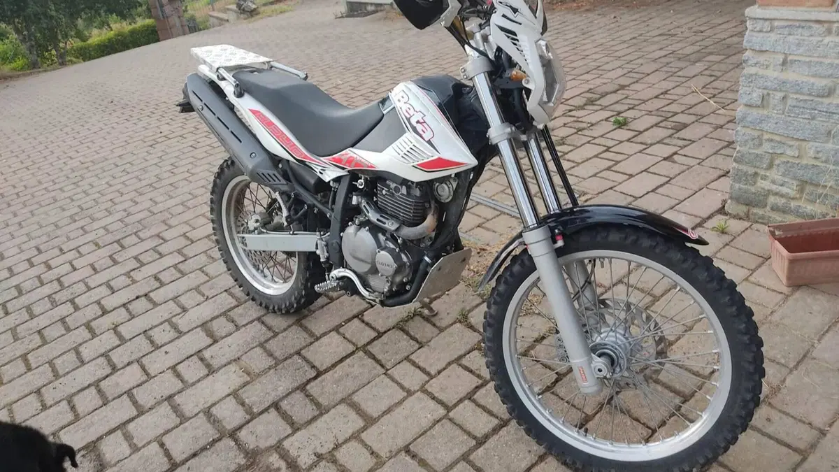 Betamotor Alp 4.0 (2008 - 17)  (3)