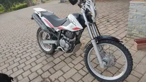 Betamotor Alp 4.0 (2008 - 17)  (3)