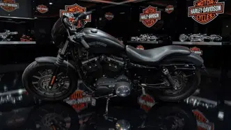 Harley-Davidson 883 Iron (2012 - 14) - XL 883N usata