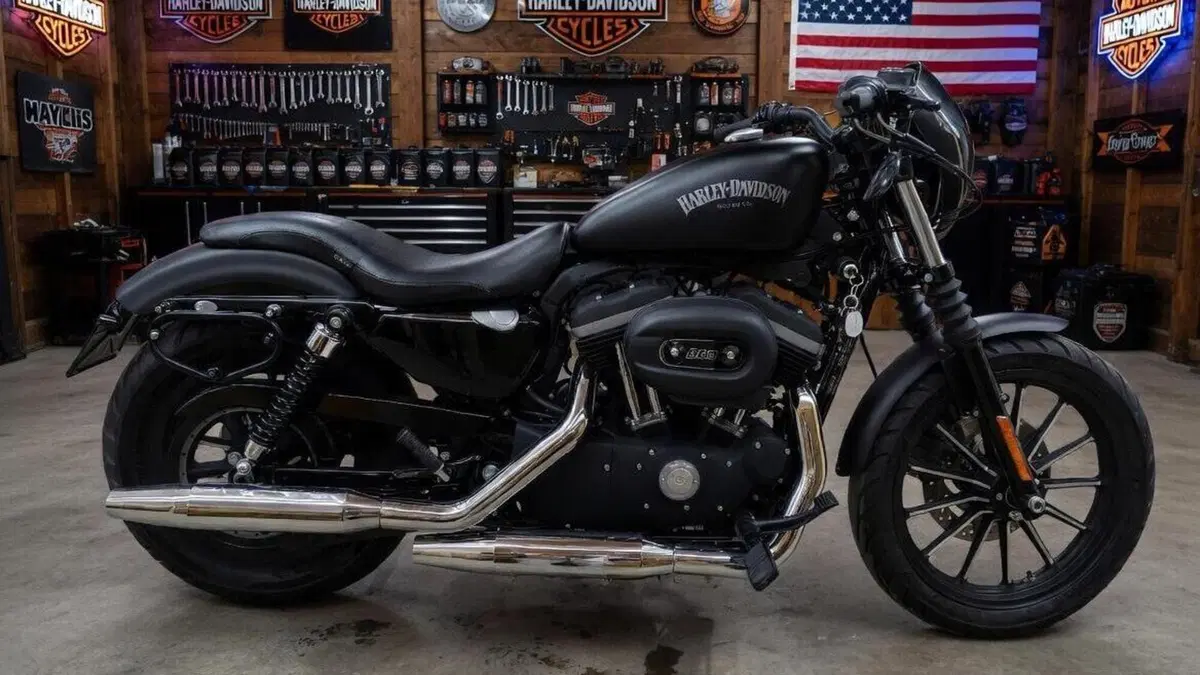 Harley-Davidson 883 Iron (2012 - 14) - XL 883N  (2)