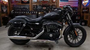 Harley-Davidson 883 Iron (2012 - 14) - XL 883N  (2)