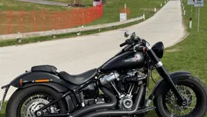 Harley-Davidson 107 Slim (2018 - 20) - FLSL  (2)