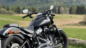 Harley-Davidson 107 Slim (2018 - 20) - FLSL  (3)