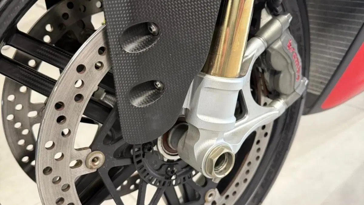 Ducati Superleggera 1299 (2017)  (16)